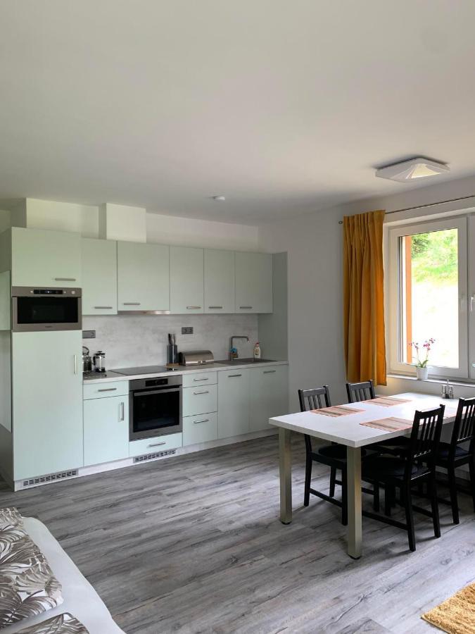 Apartman U Lomu Dolní Morava Dış mekan fotoğraf